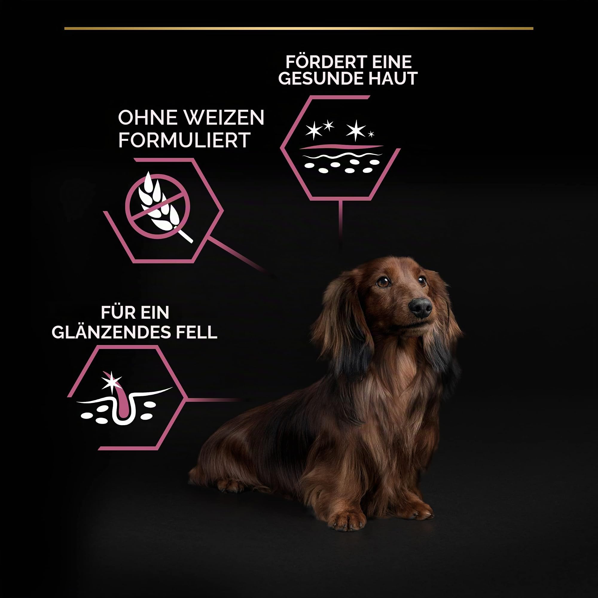 PURINA PRO PLAN | Sensitive Skin | Komplett-Trockenfutter für kleine Hunde | Fördert gesunde Haut und glänzendes Fell | Lachs | Trockenfutter | Beutel | 7 kg