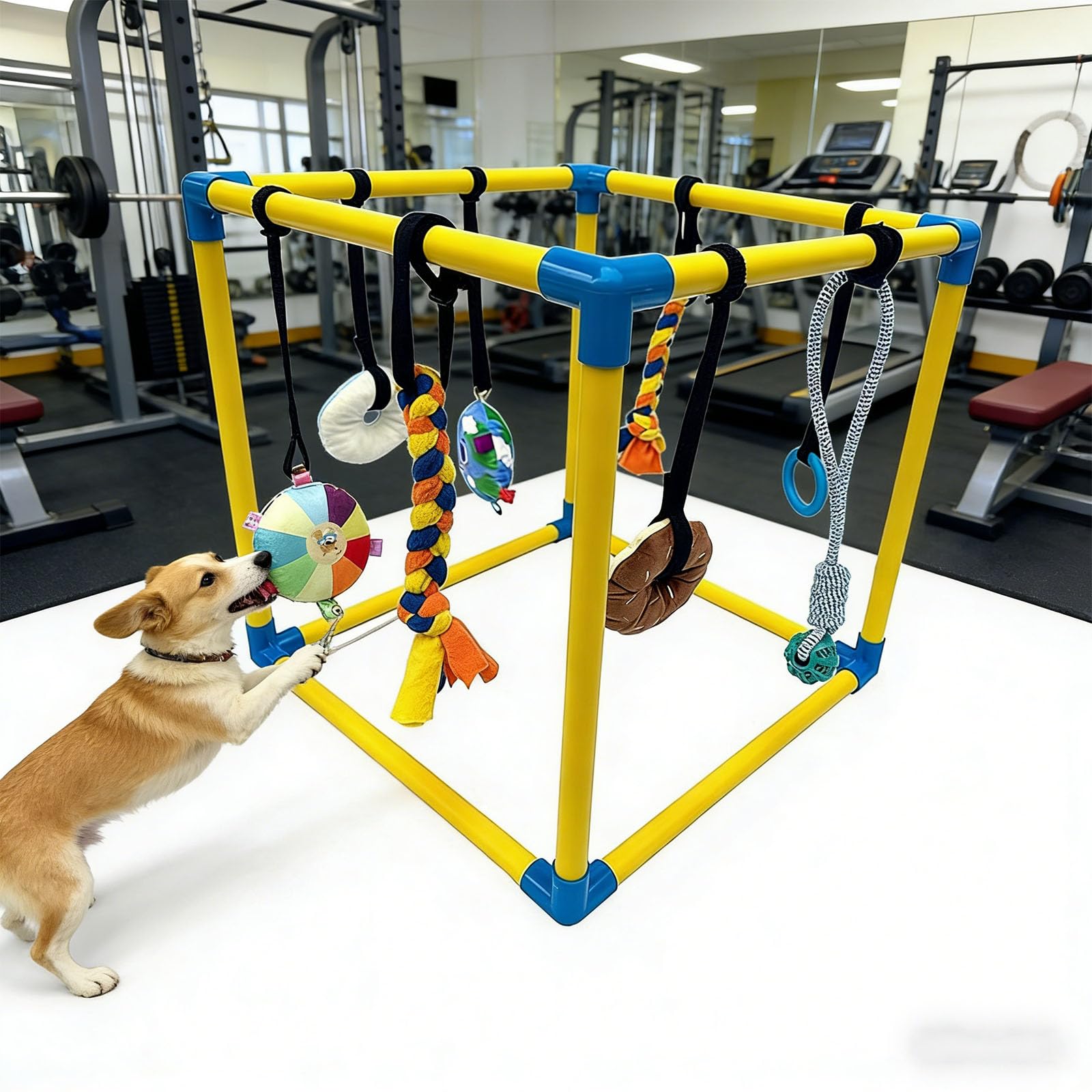 Set da palestra con tubo in PVC verde per animali domestici, con difficoltà divertenti per cani e adulti, attività stimolante, organizza la costruzione di attrezzature per l'addestramento degli