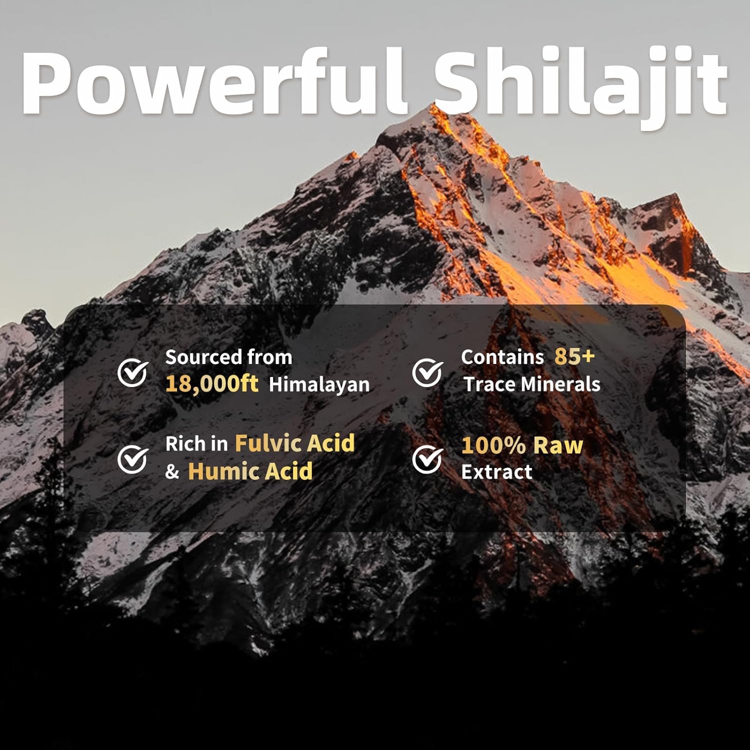 Shilajit for Men with Sea Moss & Ashwagandha,12 in 1 Hima*Layan Shilajit Supplements Capsules with Coenzyme Q10, Fulvic Acid & Humic Acid, Lion's Mane, Support Energy & Immunity, 120 Counts - Image 7