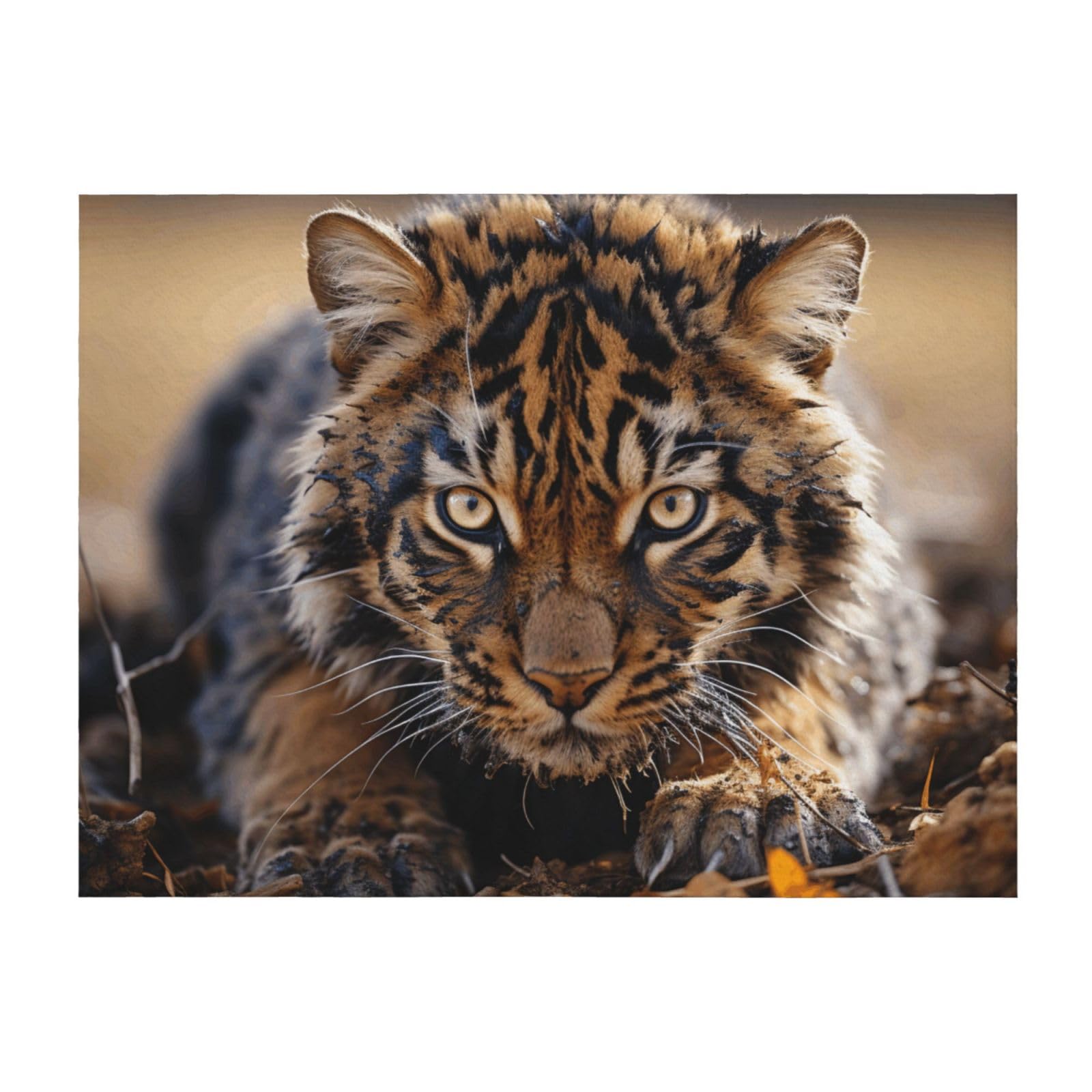 Couverture légère tigre pour apaiser vos soirées sur le lit