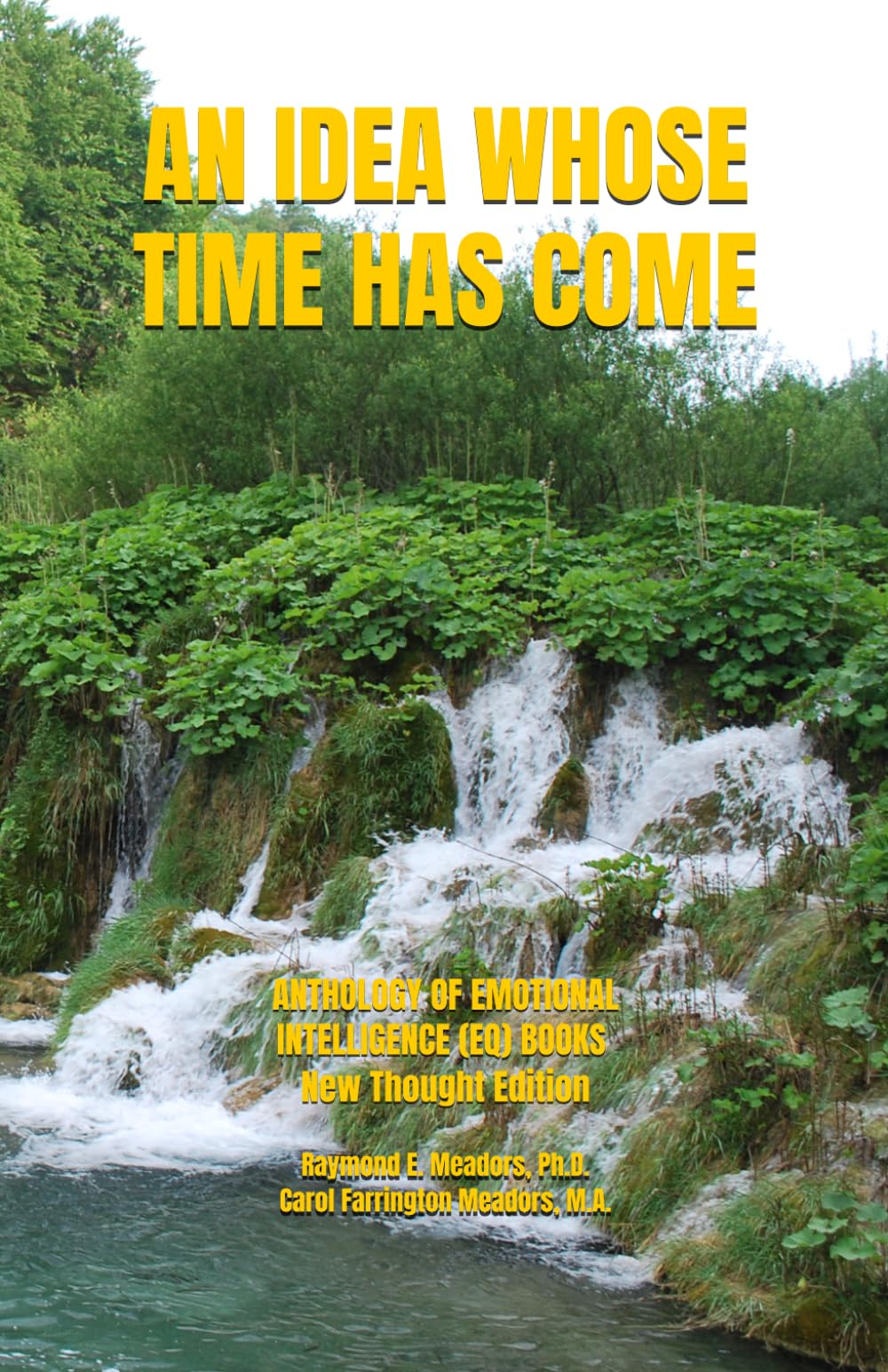 AN IDEA WHOSE TIME HAS COME: TRANSFORMATION OF YOUR EMOTIONAL INTELLIGENCE (EQ) Anthology of Emotional Intelligence (EQ) Books New Thought Edition: 4 (LIFE FOCUS SERIES (New Thought))