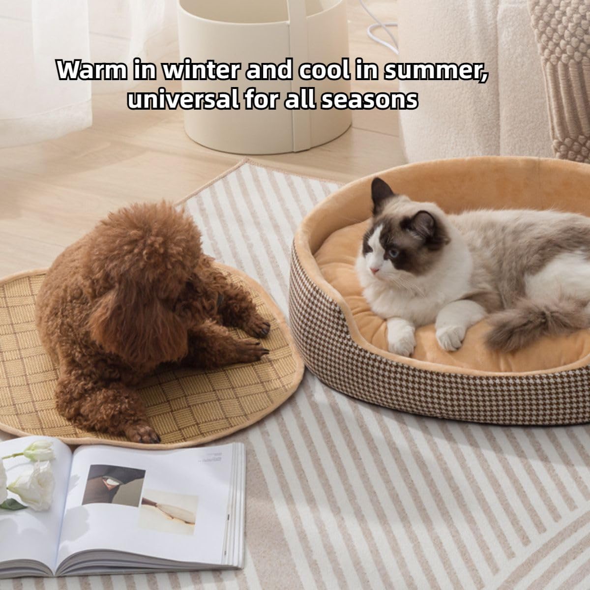 Cute Calming Bed for Small Dogs, Round Cat Beds for Indoor Cats, Pet Bed for Puppy and Kitty, Extra Soft & Machine Washable Cat Bed with Anti-Slip Bottom with Cooler Mat (Black,Medium)