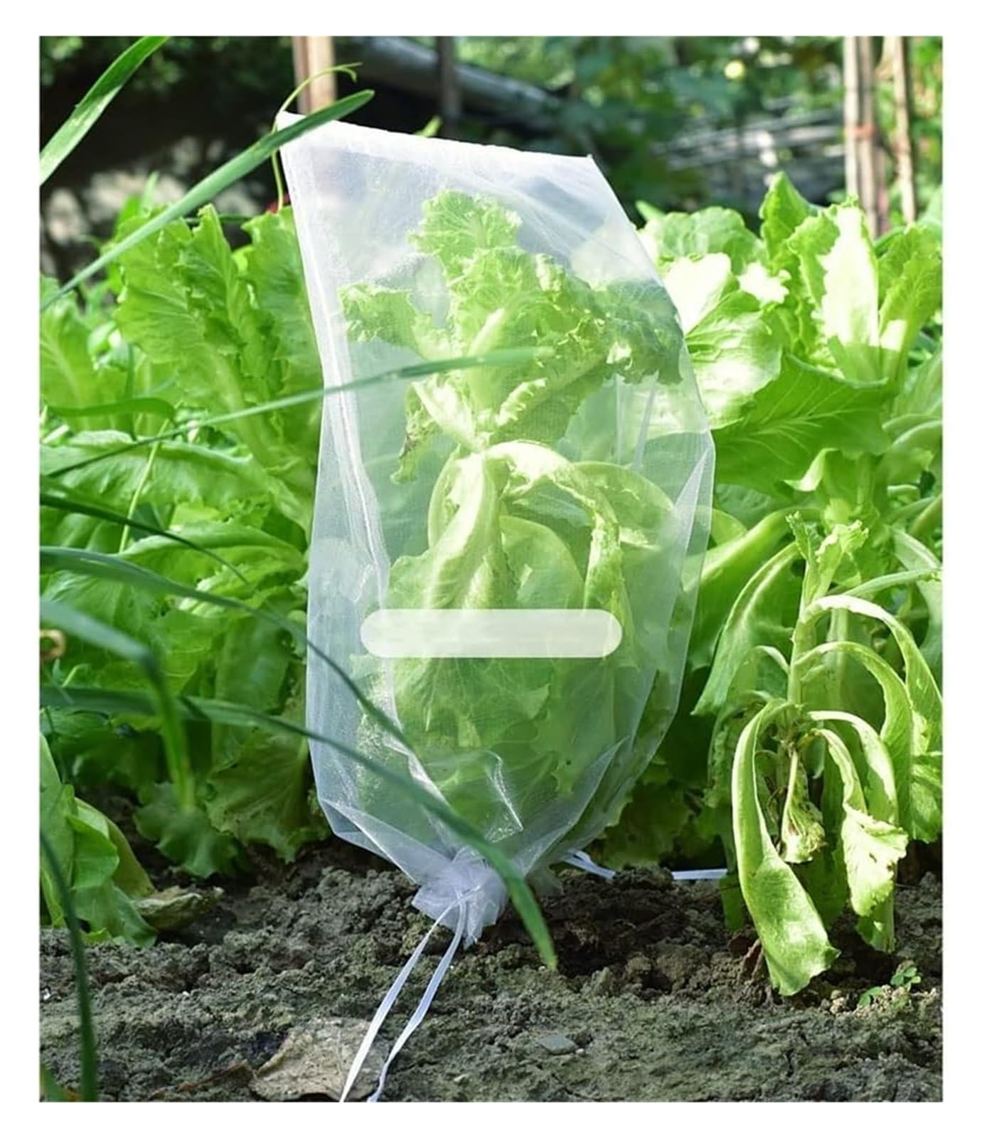 Fruit netting Garden Plant Net Bags 20/50/100PCS Fruit Protection Mesh Pest Control Bird-Proof Bag For Strawberry Grape(50pcs,10x15cm)