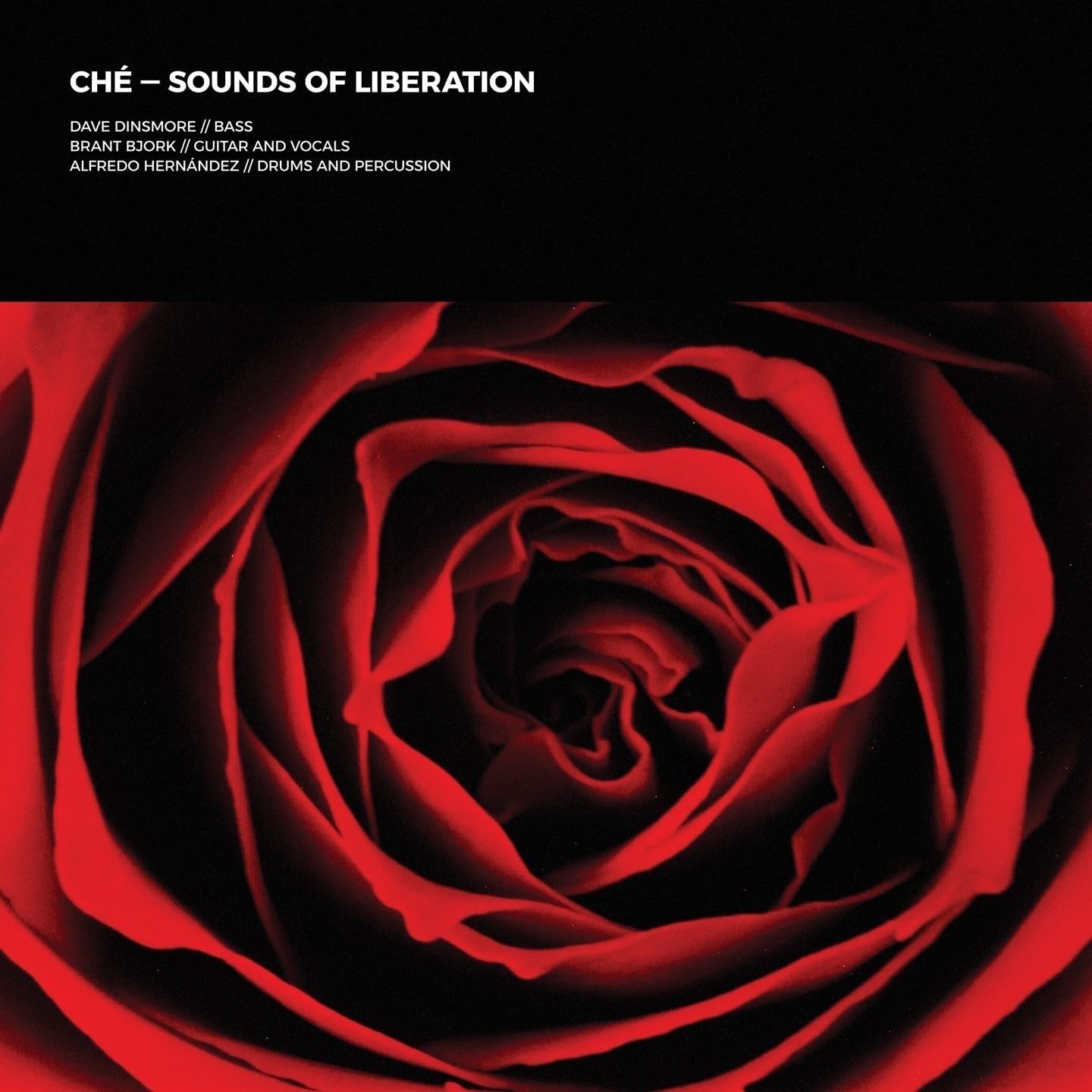 Sounds Of Liberation [VINYL]