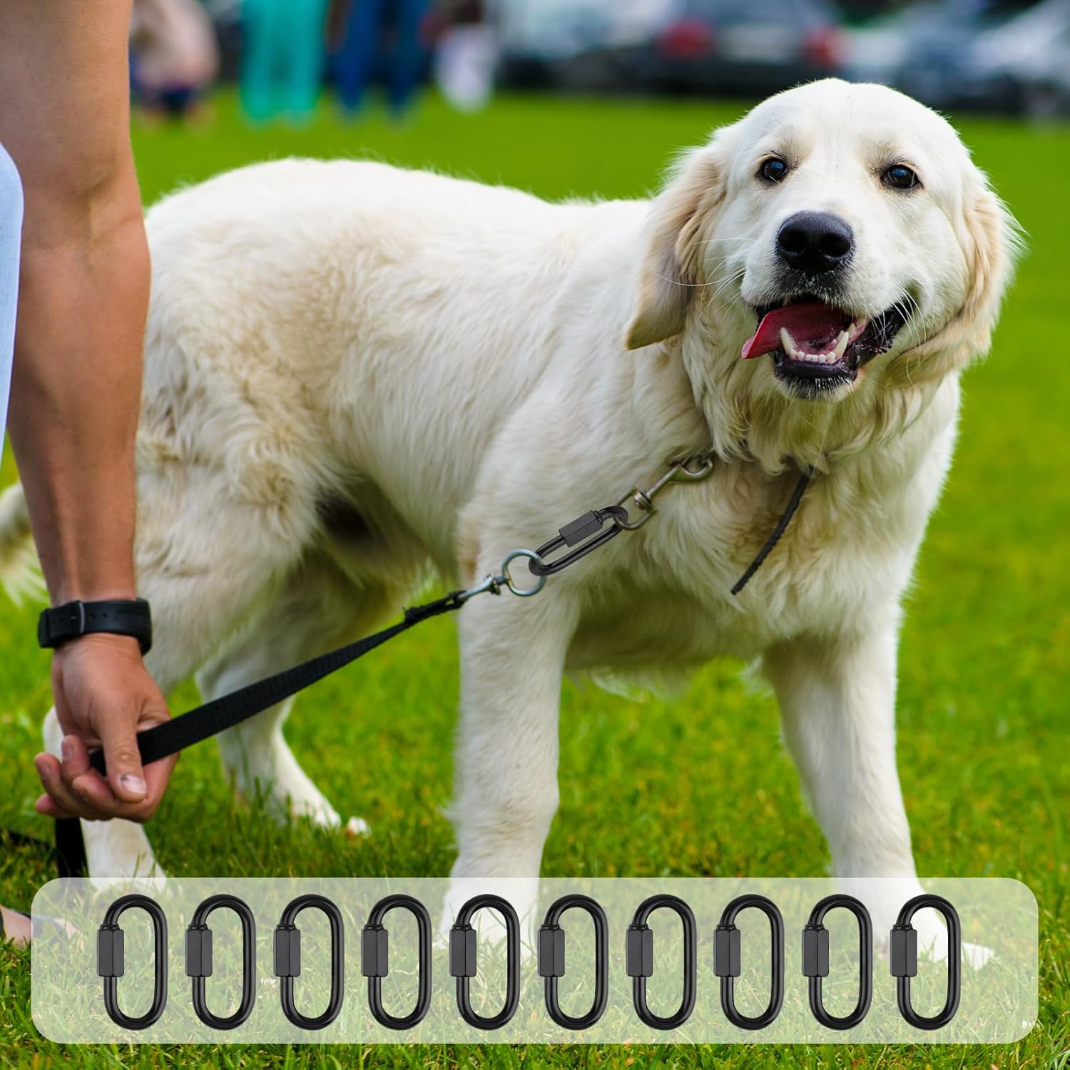 30 Pack M4 Quick Link Chain Connectors, Black Heavy Duty D Shape Locking Quick Link Metal Chain Repair Links for Camping Hammock Outdoor Equipment Key Rings Rigging - Image 5