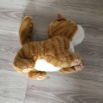 昭和レトロ サンアロー ホワッツマイケル 当時物 猫 ネコ好き ぬいぐるみ Amazon.co.jp: ホワッツマイケル ぬいぐるみ サンアロー 猫 当時