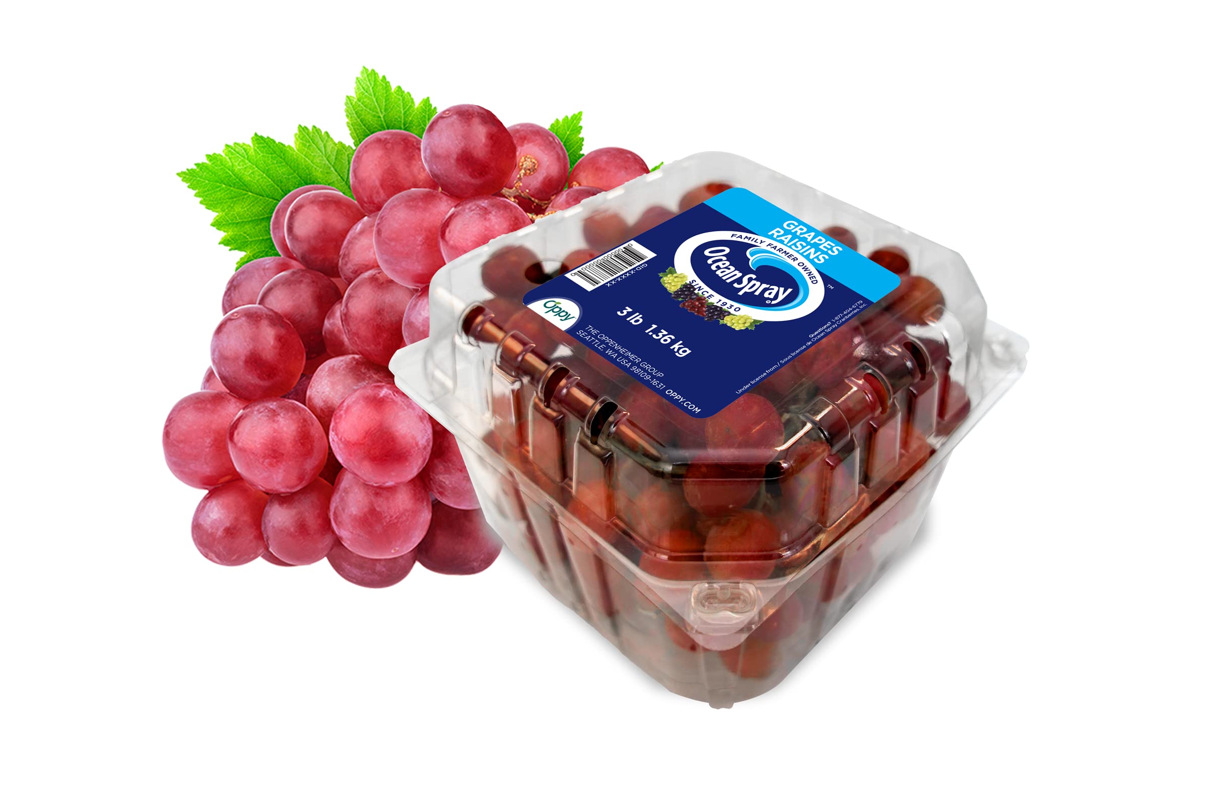 PANDOL Red Seedless Grapes 48 OZ