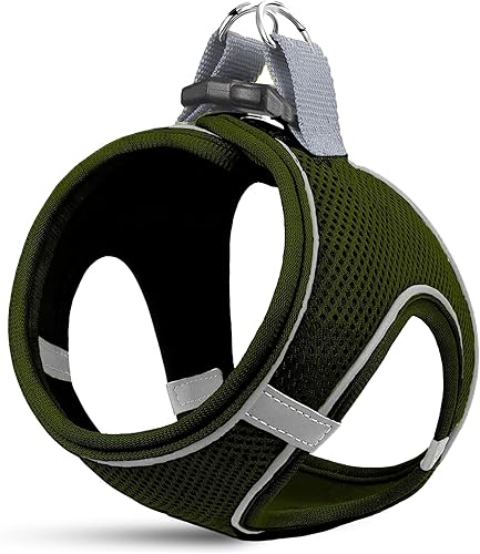 MITA Juego de arnés y correa para perro, arnés para cachorro, arnés para gato, cómodo arnés para perros grandes y pequeños, transpirable y de malla