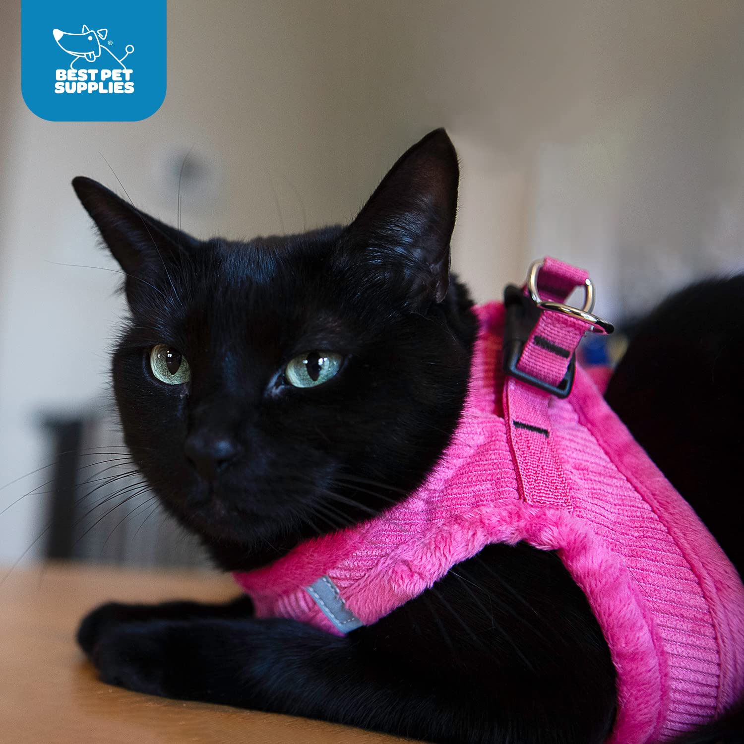 voyager plush suede dog harness