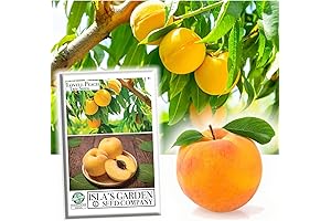 Lovell Peach Tree Seeds for Planting: Cultivate Your Own Peach Paradise