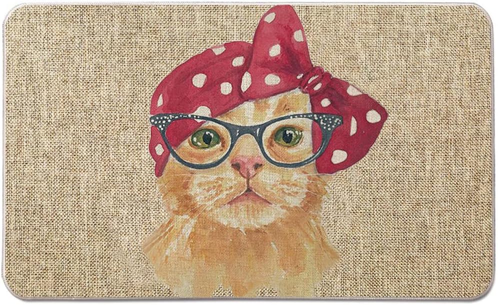 Welcome Mats for Front Door Cat Door Mat Funny Animal Kitty Doormat Home Floor Mats Non Slip Rubber Entrance Rug for Indoor Outdoor Cat Lover Gifts Home Decor 17x28 inch