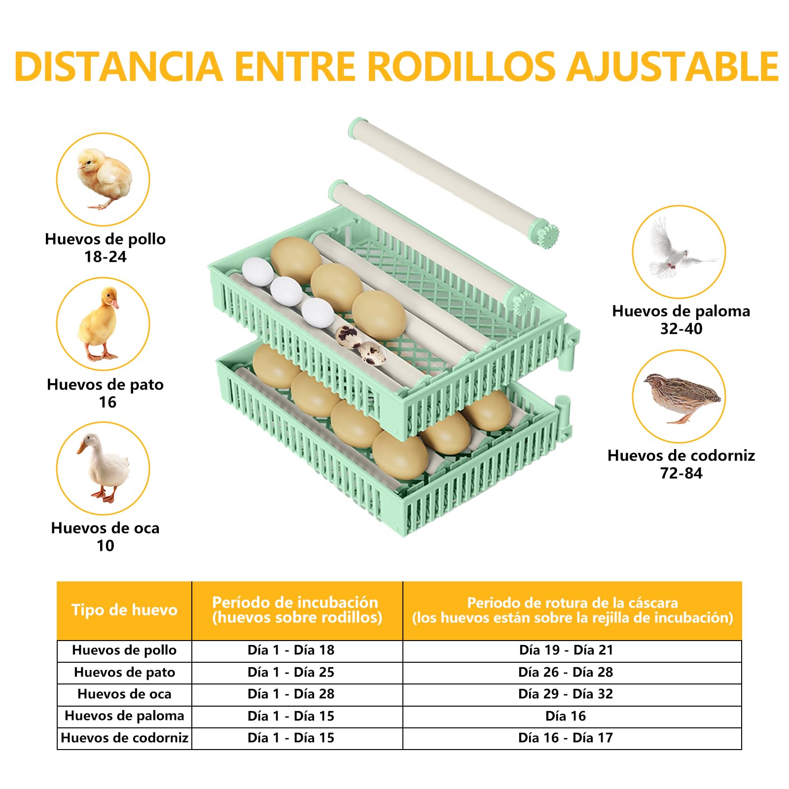 Incubadora Huevos Gallina, Incubadora de 18-24 Huevos, Incubadora Automática con Volteo Automático de Huevos y Añadir Agua Automáticamente