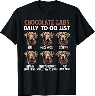 Chocolate Labs Chocolate Labrador Owner Chocolate Lab Lover T-Shirt