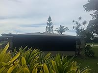 Review Image by Brian Brian