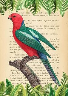 Posterazzi PDX3SL5351SMALL The Australian King Parrot-After Levaillant Stef Lamanche Poster Print, 18 x 24, Multicolor