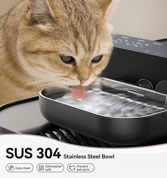 Cat Water Fountain â Filter-Free/Wastewater Separation/Pumpless FEELNEEDY Wireless Water Fountain Cats & Dogs,Stainless Steel Bowl,Fontaine Pour Chat,Water Fountain Indoor Cat Battery Operated, Black - 5