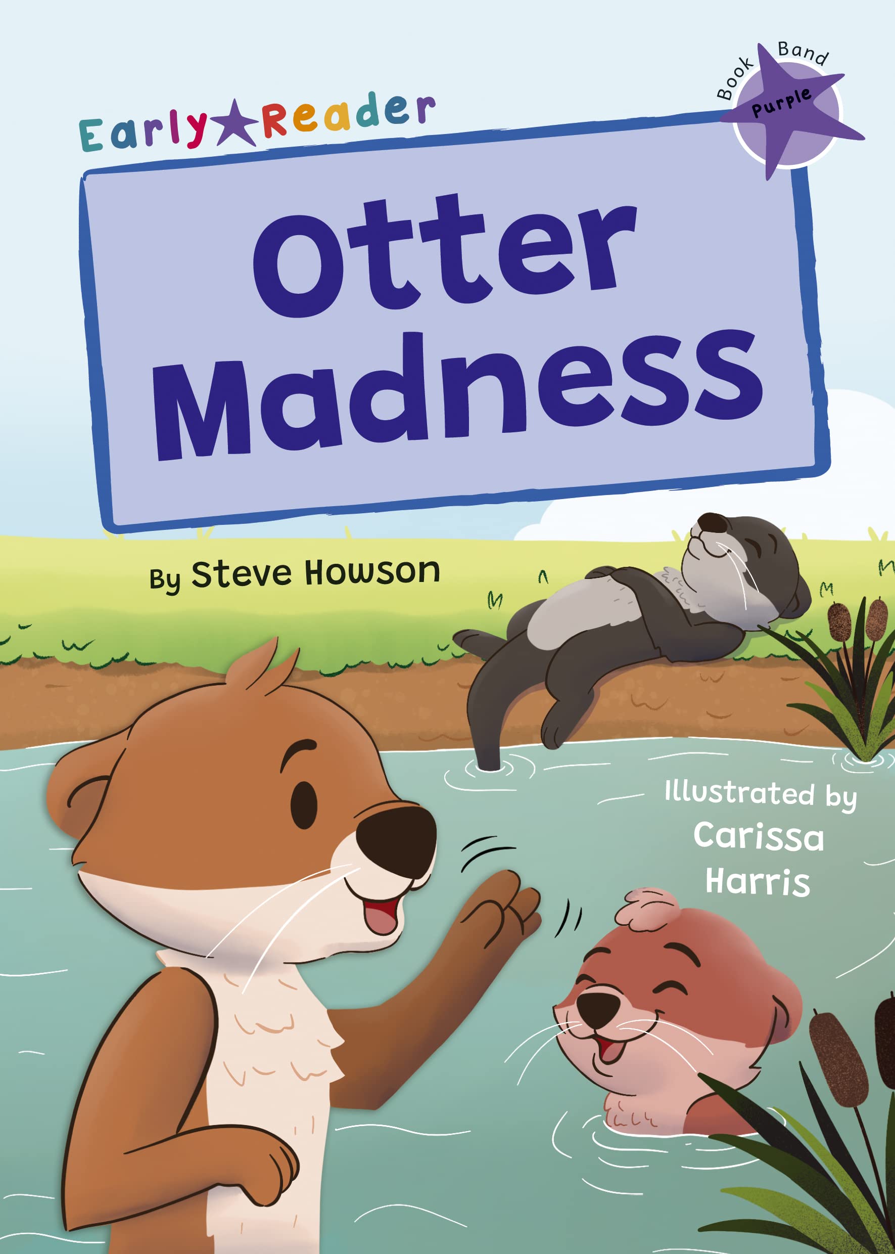 Otter Madness: (Purple Early Reader) (Maverick Early Readers)
