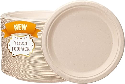 Lot De 100 Assiettes Blanches Réutilisables - Lavables, Micro-ondes, Idéales Fêtes, Camping, Quotidien