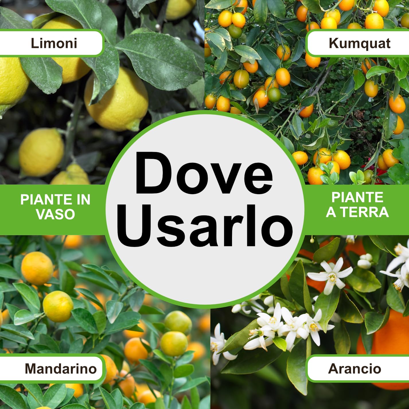 Prodigio Limone Gold, concime slow release alta qualità' per limoni ed agrumi, busta da 8 kg