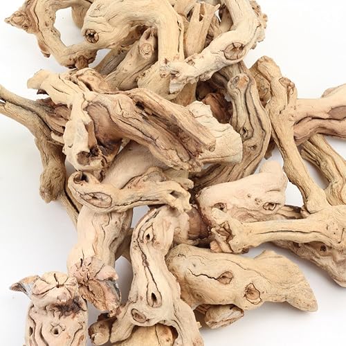 Miniatura 3 de Koyal Wholesale Decoración de relleno de jarrón de madera de pomelo natural, ramas de relleno de jarrón a granel de 2.2 libras para terrarios, kits