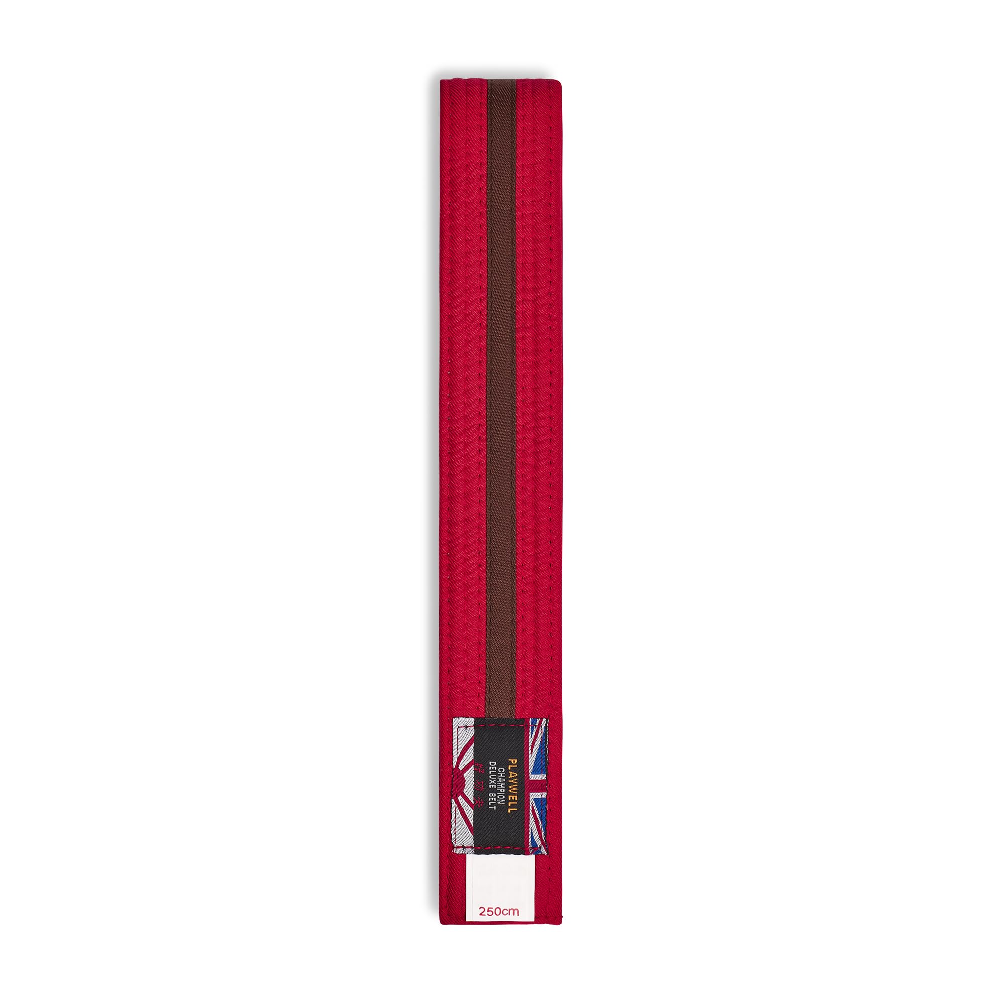 Playwell Ceinture d'arts martiaux en coton coloré avec différentes bandes de couleur – (karaté, judo taekwondo)
