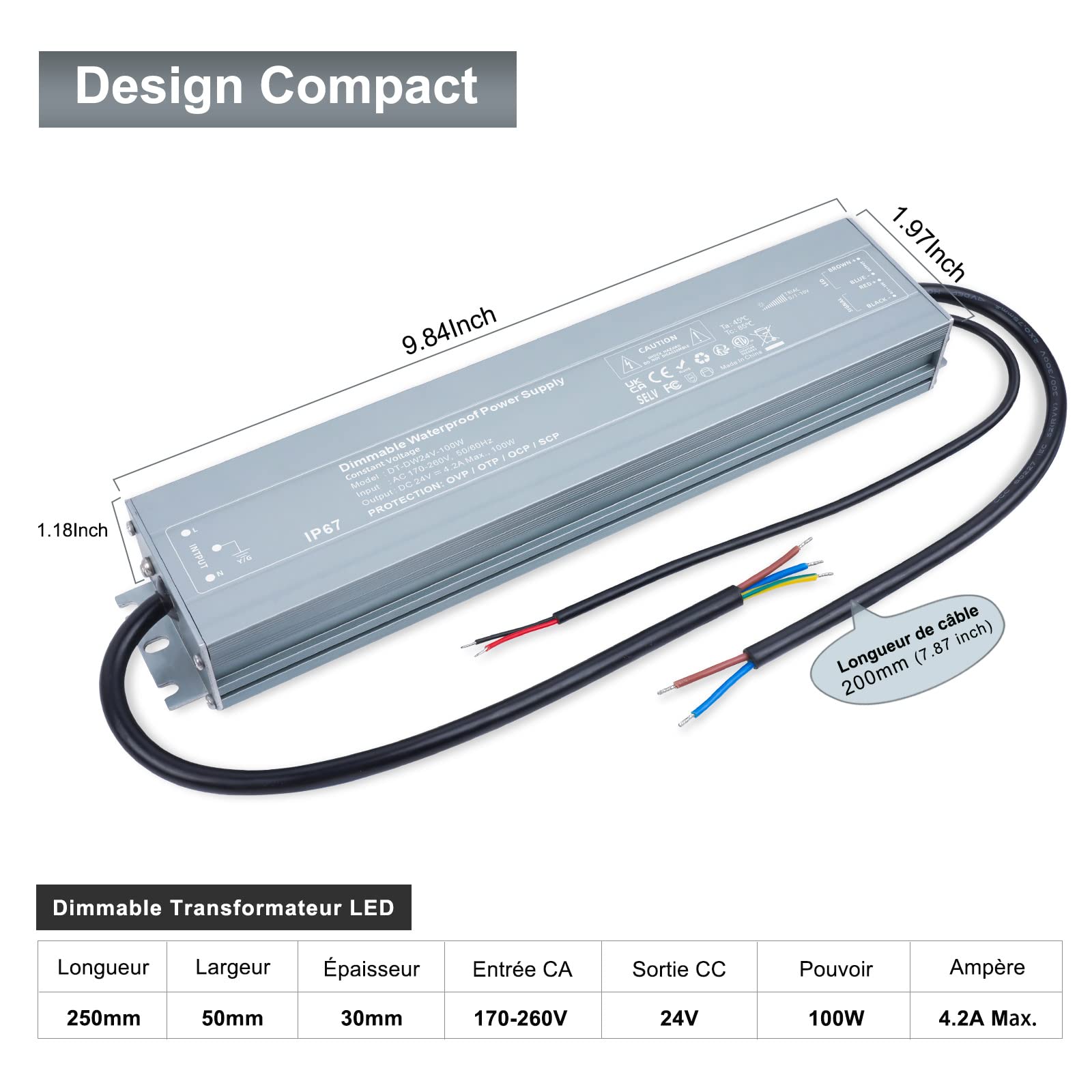 REYLAX Transformateur 220V 24V Dimmable étanche Alimentation LED 100W 4.17A | Transfo DC LED Driver de Tension Constante Pilote LED Basse Tension pour Ampoule à Bande Lumineuse Led