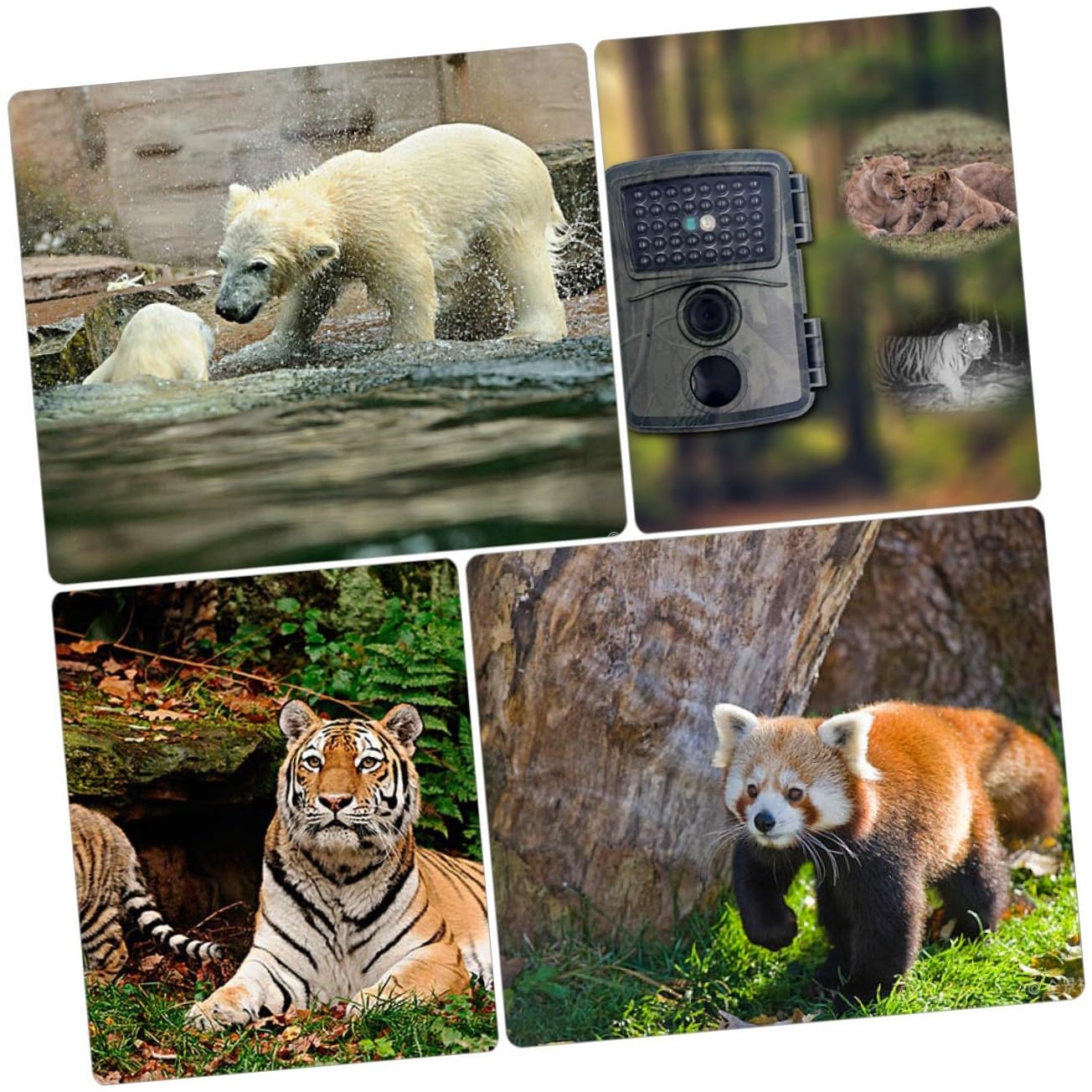 TOYANDONA Caméra de Chasse 1080p Étanche Vision Infrarouge Pir, Objectif Grand Angle 52°, pour Observation Faune en Extérieur