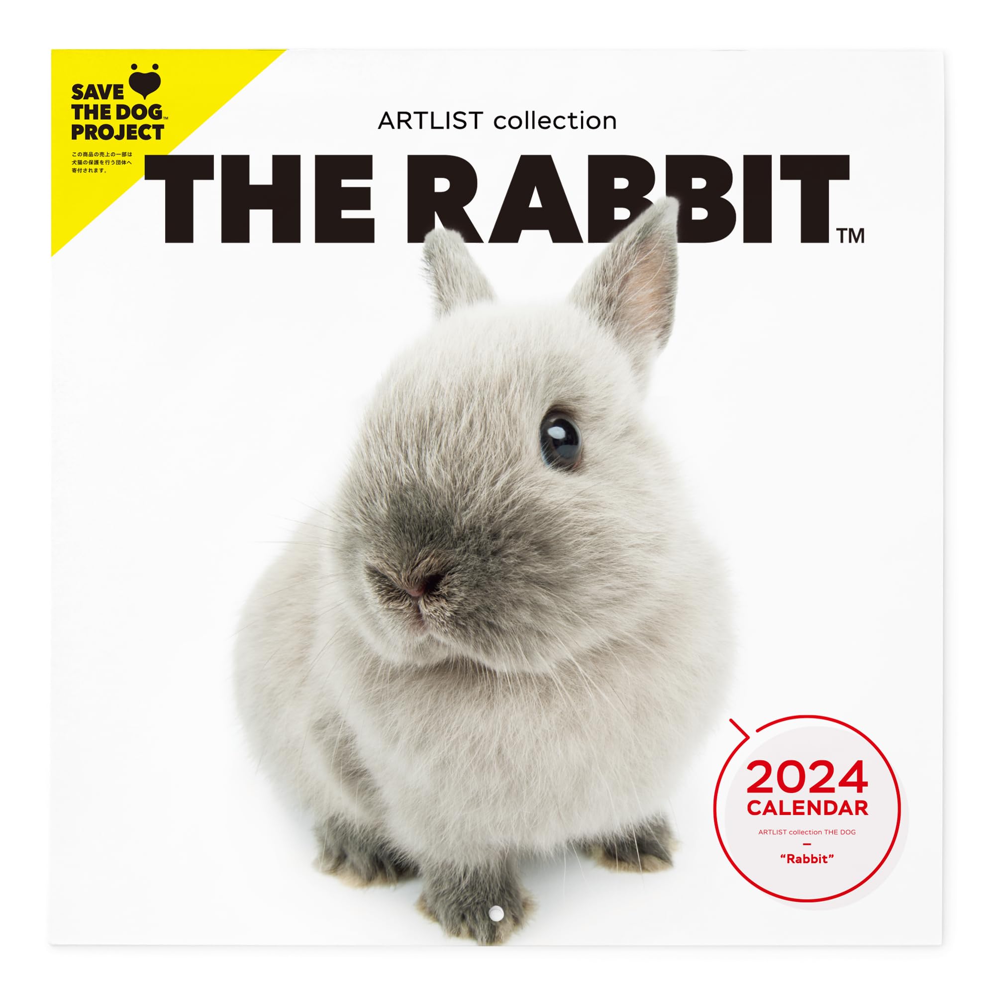 Amazon.co.jp: THE RABBIT カレンダー 2024 大判サイズ [うさぎ］兎