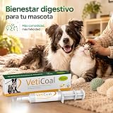Ver la foto 8