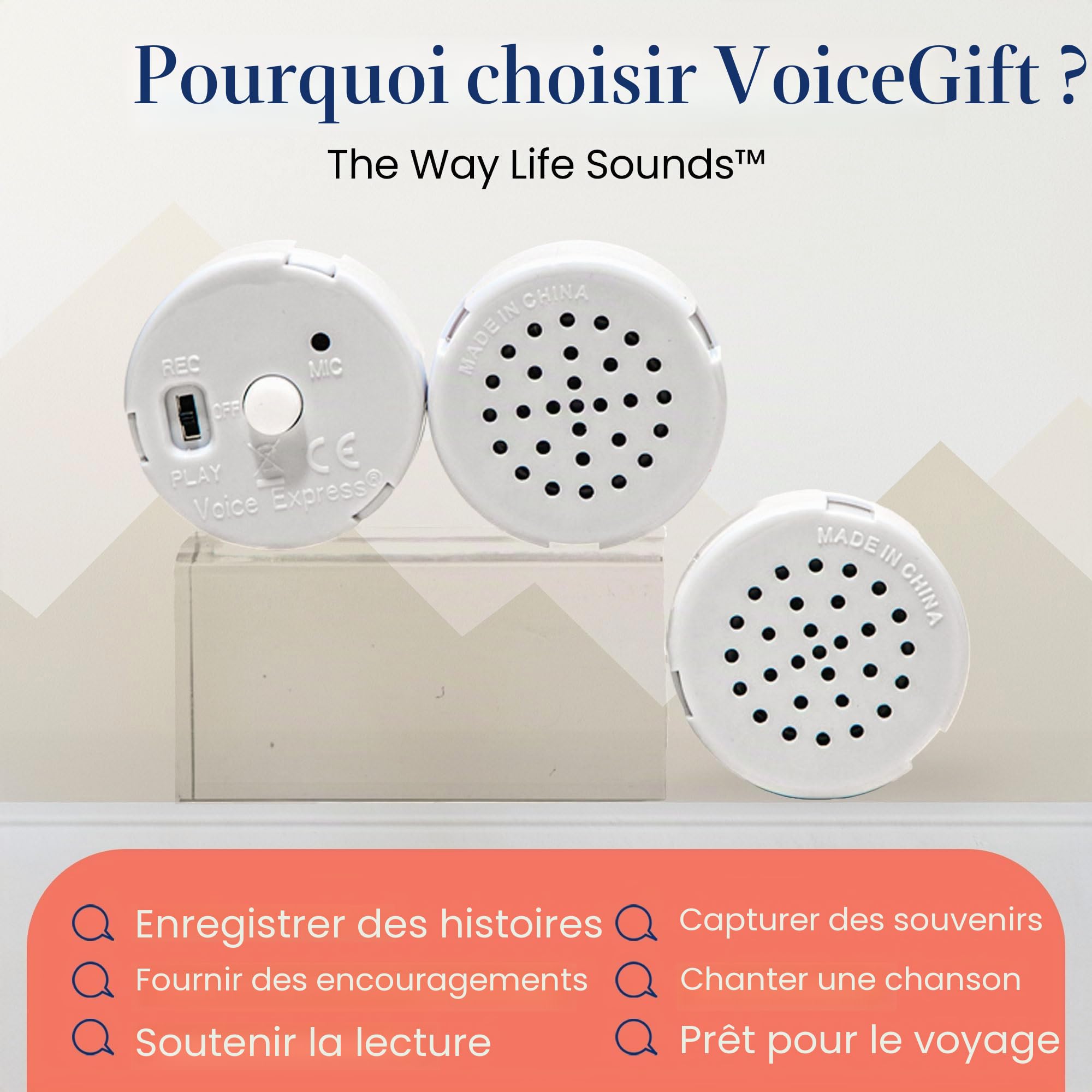 VoiceGift Enregistreur Vocal Multi-Messages 60 Secondes (Blanc | 2 Paquet)