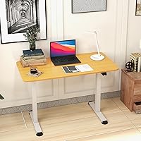 Vista 26 de GOFLAME Height Adjustable Electric Standing Desk, 44 x 24 Inches Sit to Stand Computer Workstation with Cable Management Hole, Ergonomic Stand up