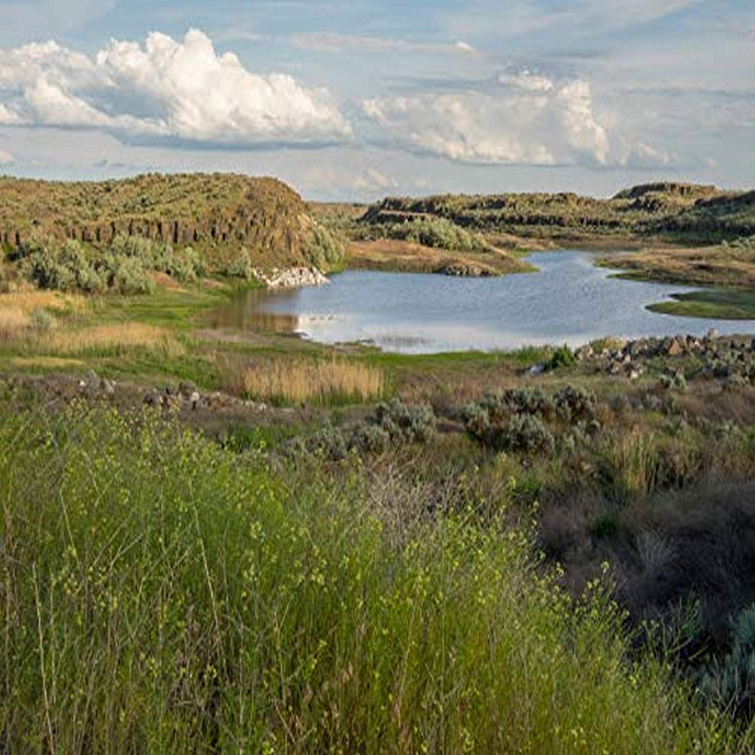 Posterazzi PDDUS48JWI5174LARGE USA, stan Waszyngton. Columbia National Wildlife Refuge, Migraine Lake Photo Print, 36 x 24, Multi