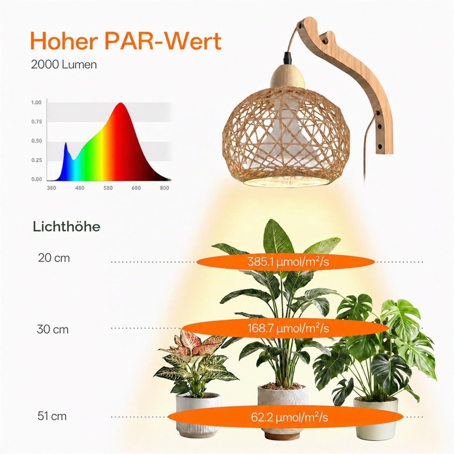Bstrip Wand-Pflanzenlampe mit Boho-Rattanschirm, 18W, 3800K