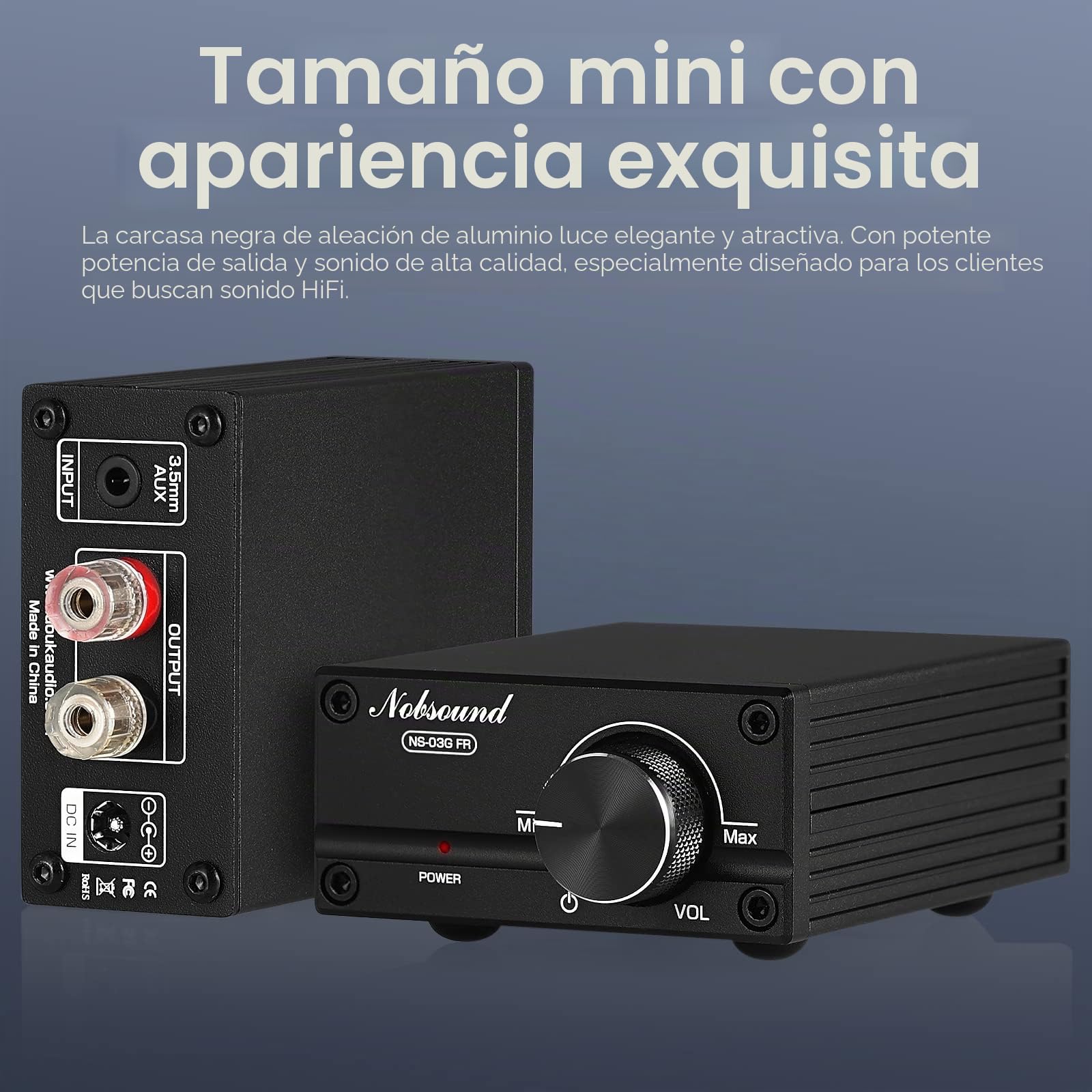Nobsound Amplificador de potencia digital de 100 W Full Frequency Mono Channel Audio Mini Amp with Power Supply (Black)