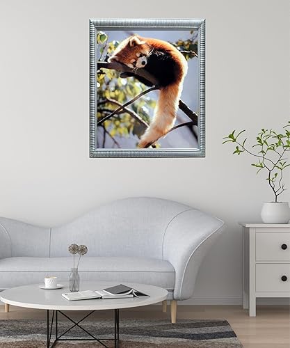 Miniatura 8 de Póster impreso con diseño de panda rojo sentado en un árbol y vida silvestre (16 x 20 pulgadas)