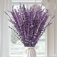 Glicrili Preserved Purple Lavender Bouquet 15-17" Dried Flowers Bundle 50g - Lasting Fragrance for Home Decor, Weddings, Crafts, Aromatherapy