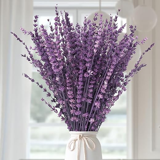 Dried Purple Lavender Flowers Bundle-Dried Preserved Lavender Bouquet 15-17" for Shower Weeding Home Vase Decor, Crafts, Aromatherapy, Fragrance, Fresh Silk Dry Live Plants, 50g(1.76oz)