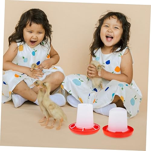 Miniatura 9 de Alimentador de pollitos domésticos, alimentador de codorniz, alimentador de palomas, alimentador de pollitos pequeño, bebedero para aves de corral,