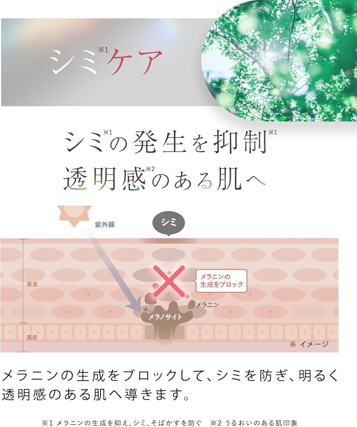 Amazon.co.jp: WrinkFade Wrinkle Fade Medicated Wrinkle Cover