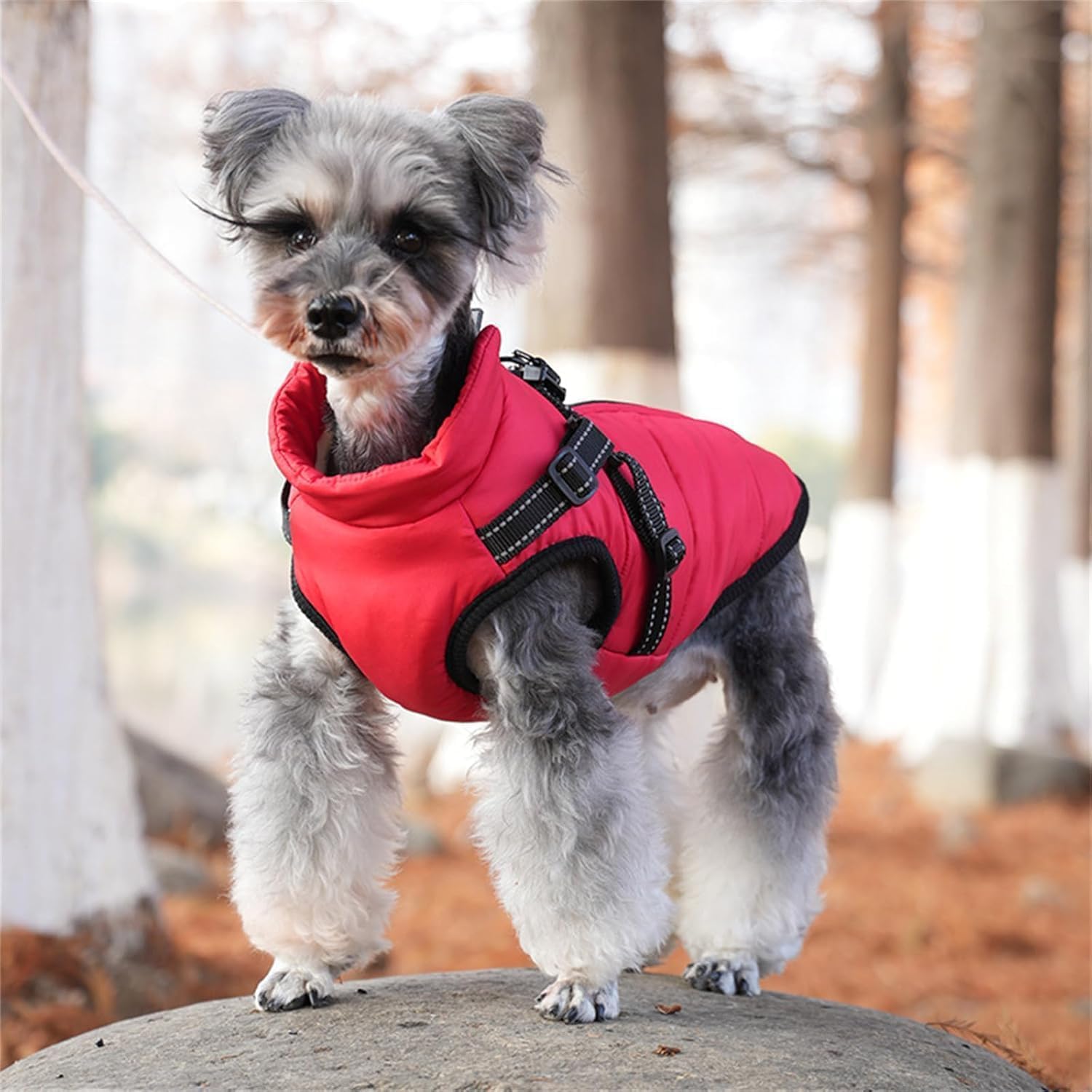 3 in 1 Winter Jacket, Dog Jacket, Waterproof Windproof Dog Jacket with Zipper, Dogs Winters Coat, for Small Medium Large Dogs (Blue,Large)