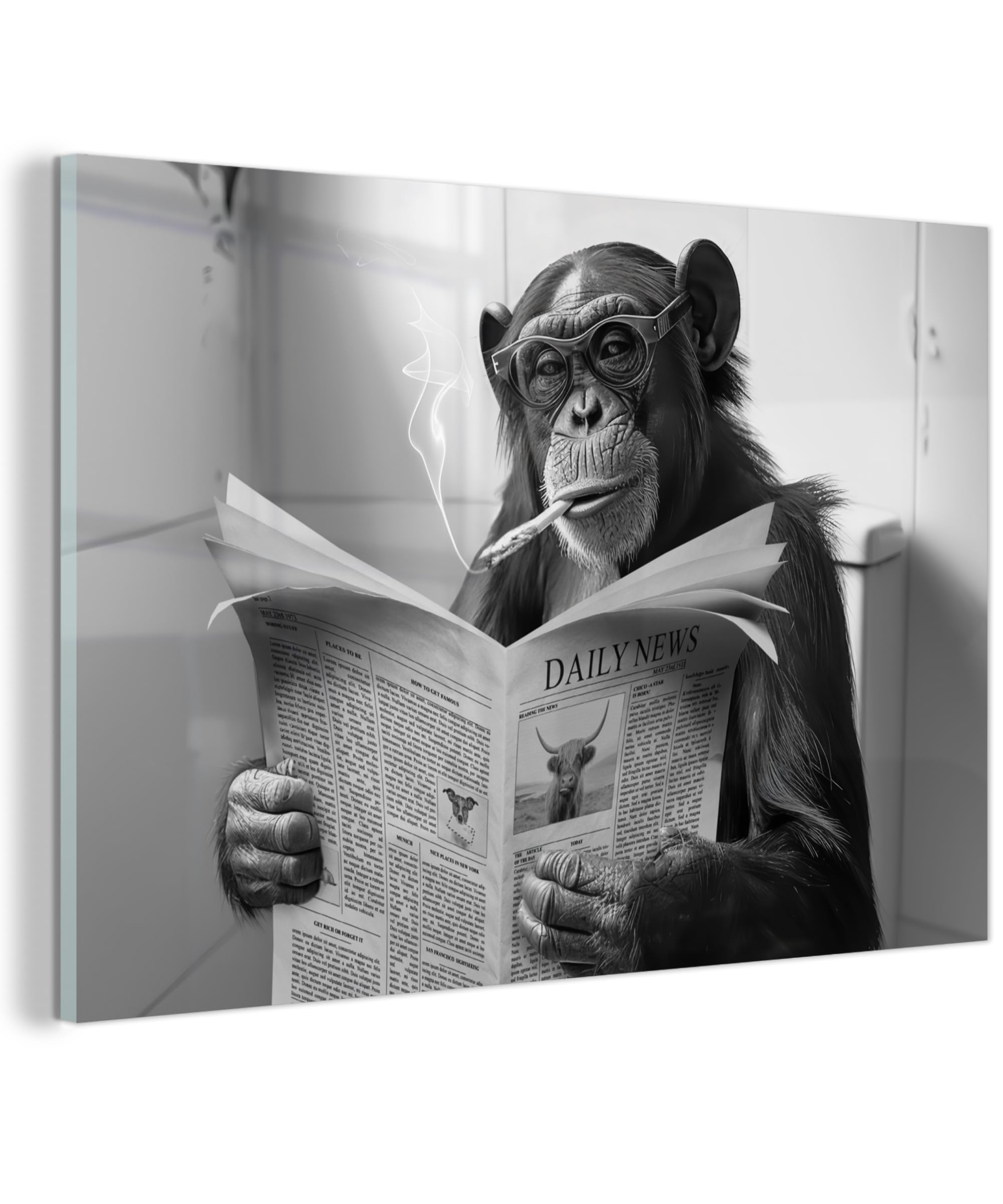 MuchoWow© Wandbilder Glas 60x40 cm Wohnzimmer Wanddeko Schlafzimmer Zimmerdeko Wandgemälde Zimmer Deko auf Wand Dekoration Wall Art Affe - WC - Zeitung - Schwarzweiß - Humor