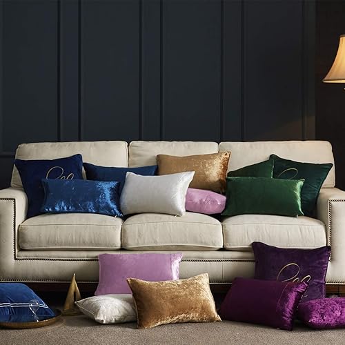 Vista 178 de GIGIZAZA - Juego de 2 fundas de almohada decorativas de 18 x 18 pulgadas, fundas de almohada cuadradas de terciopelo verde azulado pavo real