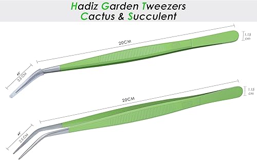 Miniatura 3 de HADIZ Juego de dos piezas de pinzas de jardín de acero inoxidable con pinzas de punta curvada para jardinería de cactus y suculentas (curvas)