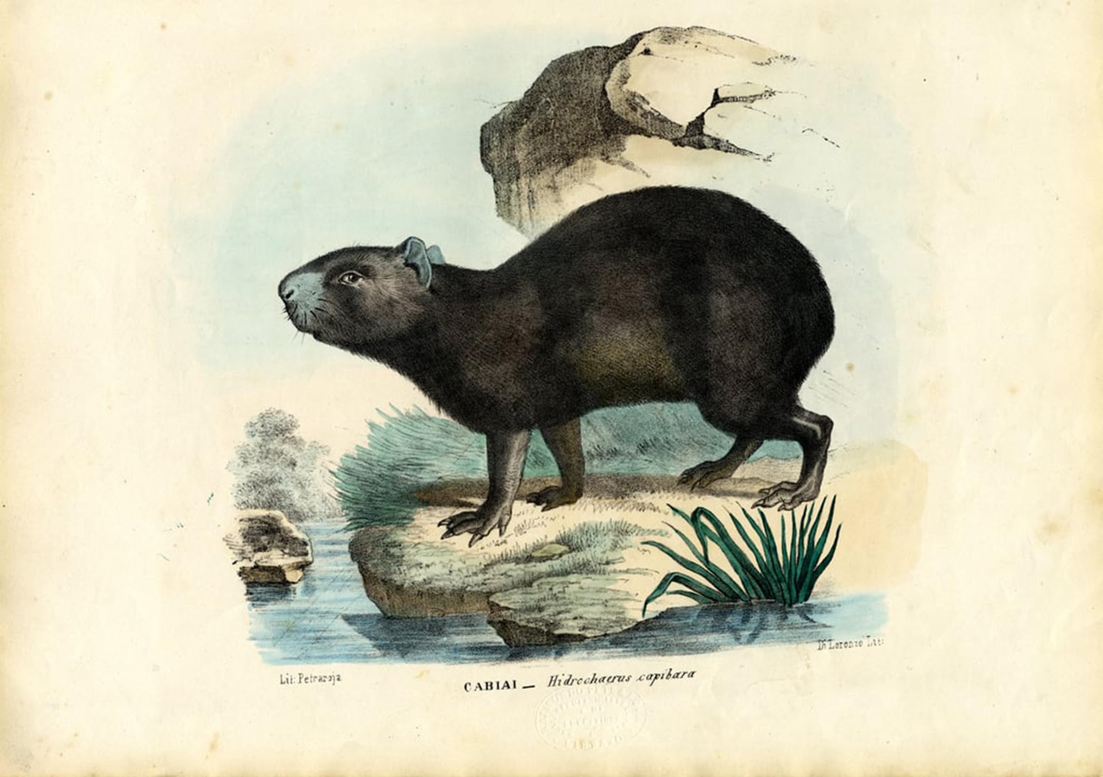 POSTERIIk Famous Animal Posters Vintage Picture the Poet Laureate by Carlo Pellegrini Modern Wall Decor for Home Decor 60x90cm