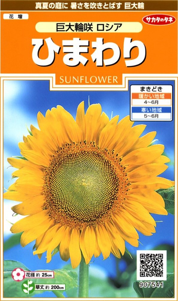 [専用出品]ひまわり ひまわり Amazon.co.jp: ZXHYWYM ひまわり キャンバス ウォールアート