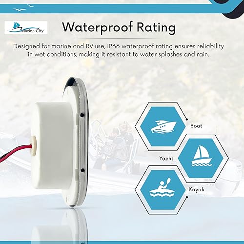 Miniatura 7 de MARINE CITY 24V 1.5W 304 grado de acero inoxidable impermeable IP66 LED oval luz de cortesía en blanco suave