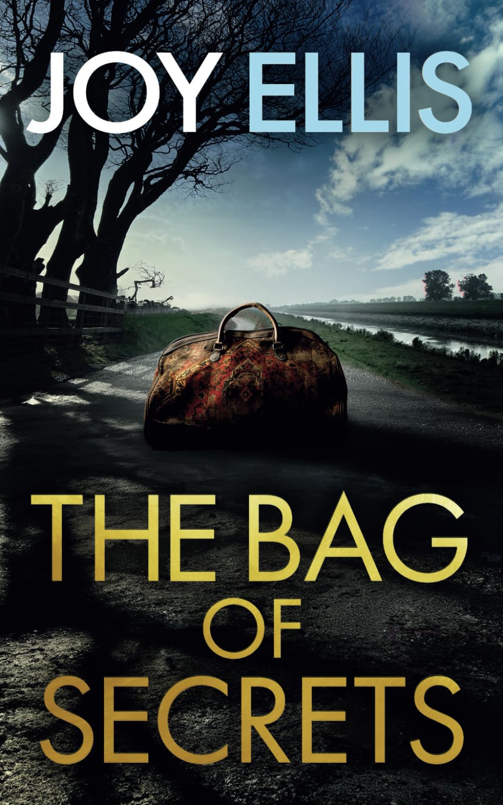THE BAG OF SECRETS a gripping crime thriller with a huge twist (Detective Matt Ballard Mystery)