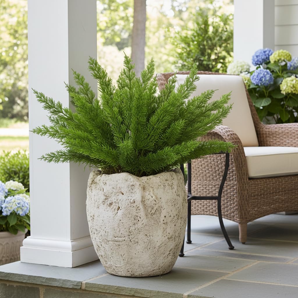3 PCS Artificial Fern Plants, Asparagus Foxtail Fern, 20 Inch | UV resistant faux greenery for garden, porch, patio, window boxes, planters, outdoor pots and indoor decor