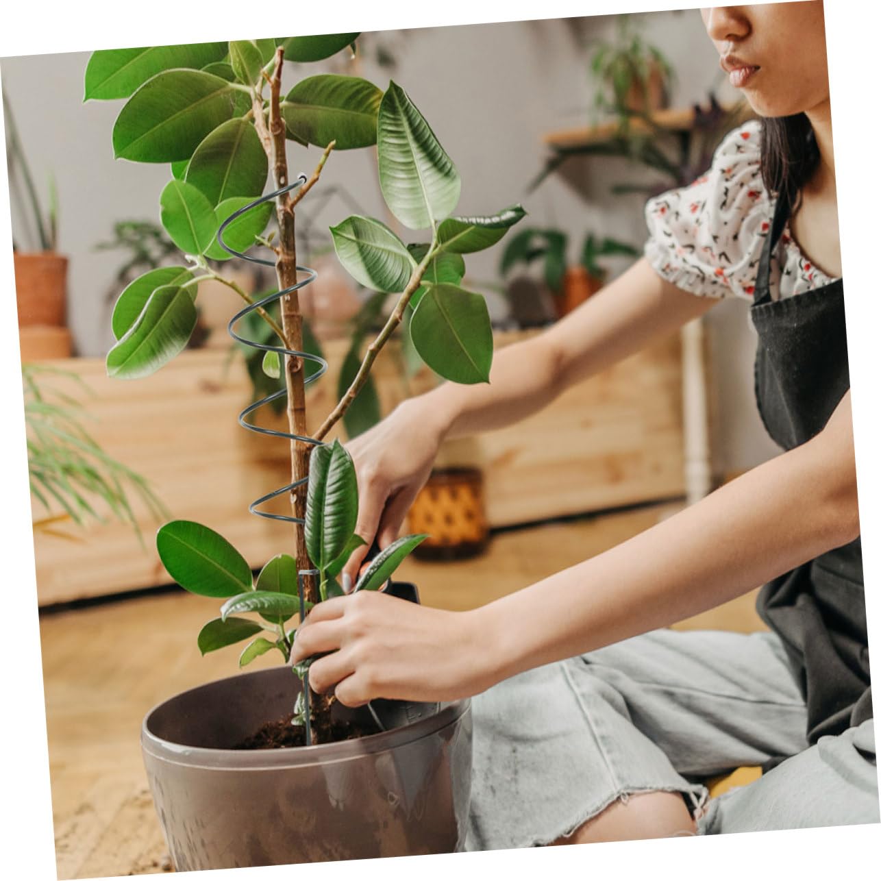 Sosoport 8pezzi Spirali Supporto per Piante Metallo Picchetti per Giardino Regolabili per Viti e Fiori Sostegno Durevole per Piante Rampicanti di Facile Installazione e Design Elegante
