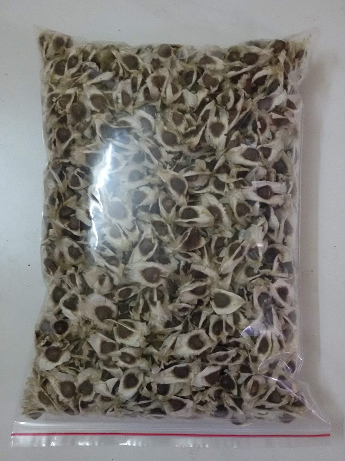 ROHIT 1 moringa seeds 250g per pack, Moringa seeds for plantation, Drumstick seeds 90% germination seeds (B0CC55LR87) Amazon Price History, Amazon Price Tracker